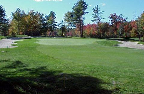 A golf course with a green and trees in the background