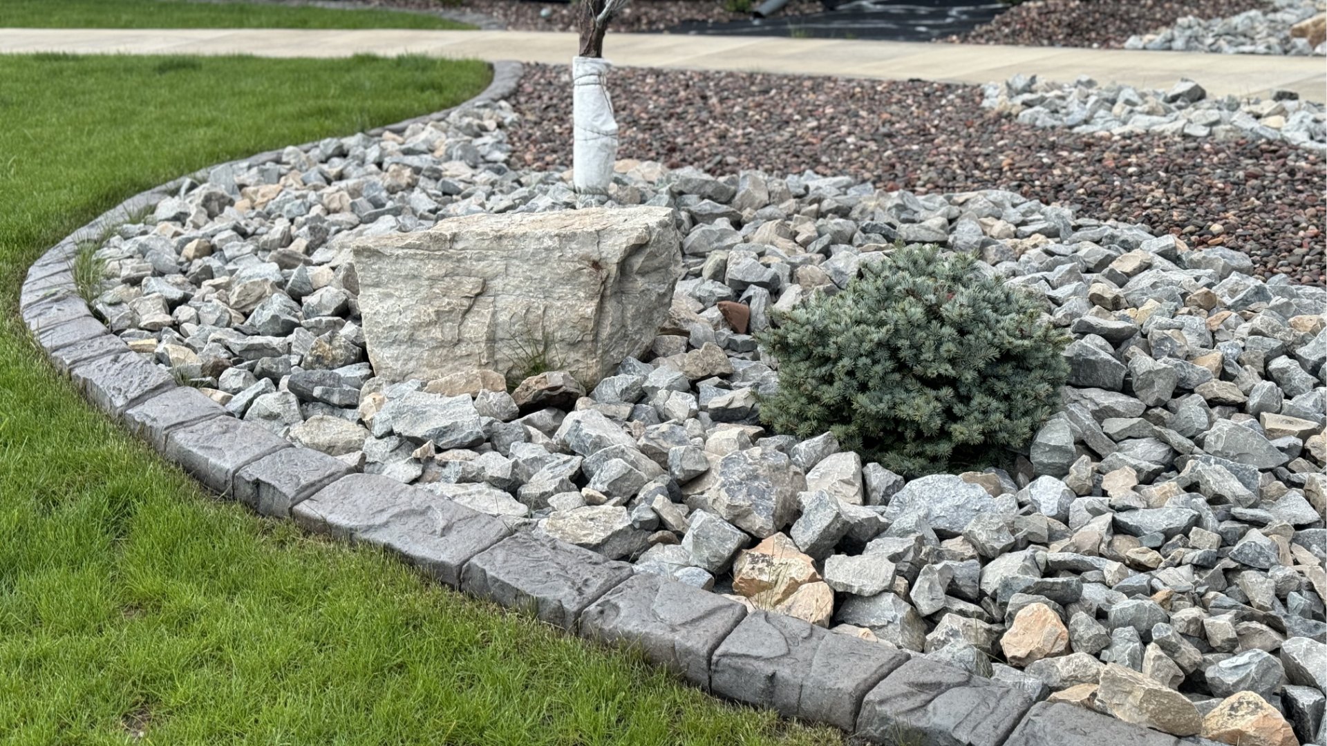 A rock garden with a tree in the middle of it.