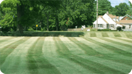 Lawn Service — Commercial And Residential Lawn Care in Louisville, KY