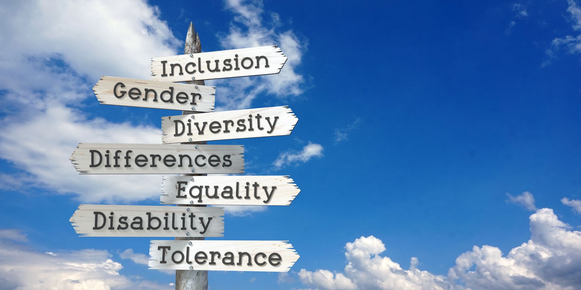 A sign post points the way forwards to embracing inclusion, diversity, and tolerance.