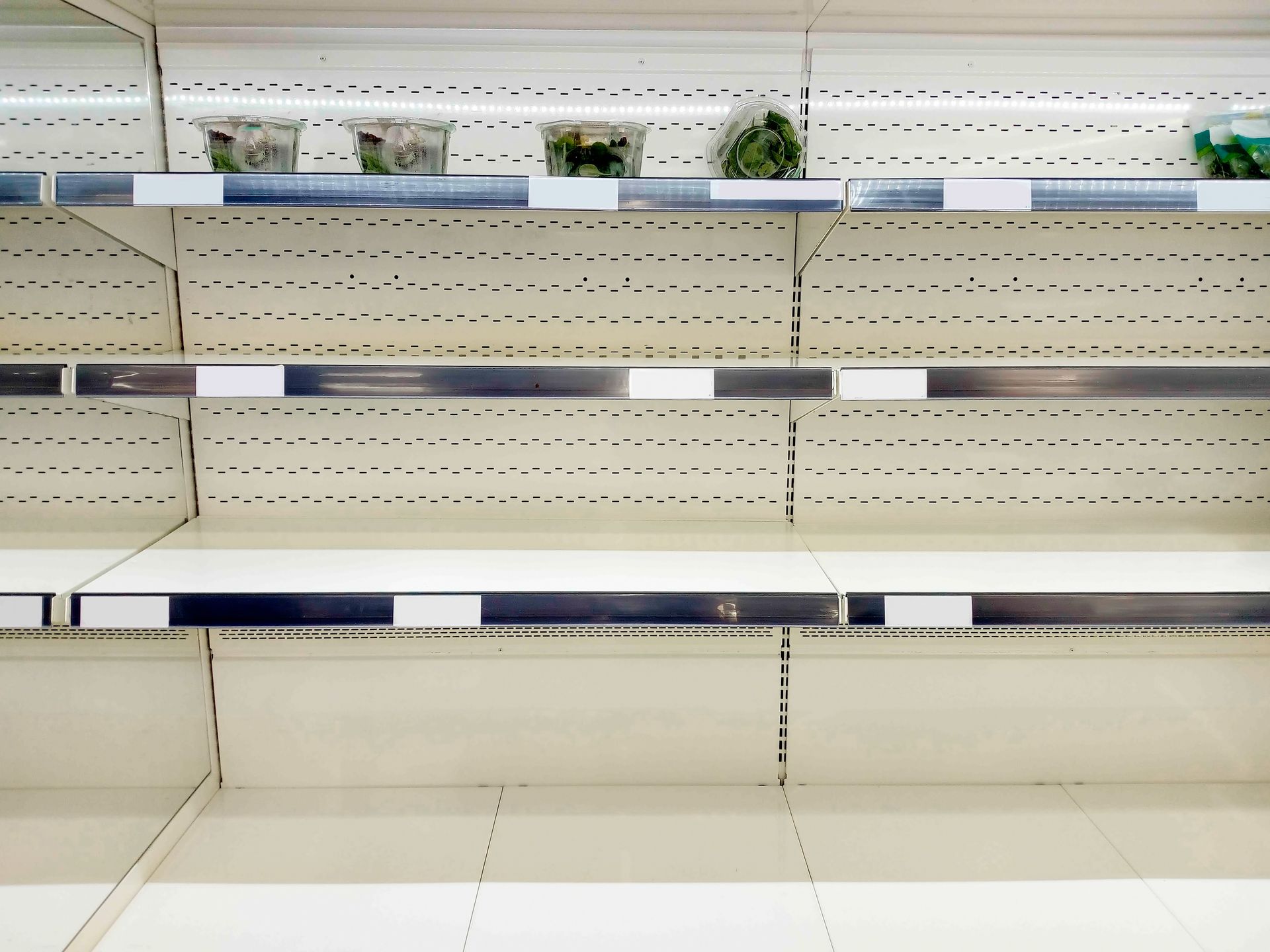 Empty supermarket shelves. The only remaining items are a few salads pushed to the back on the uttermost shelf.