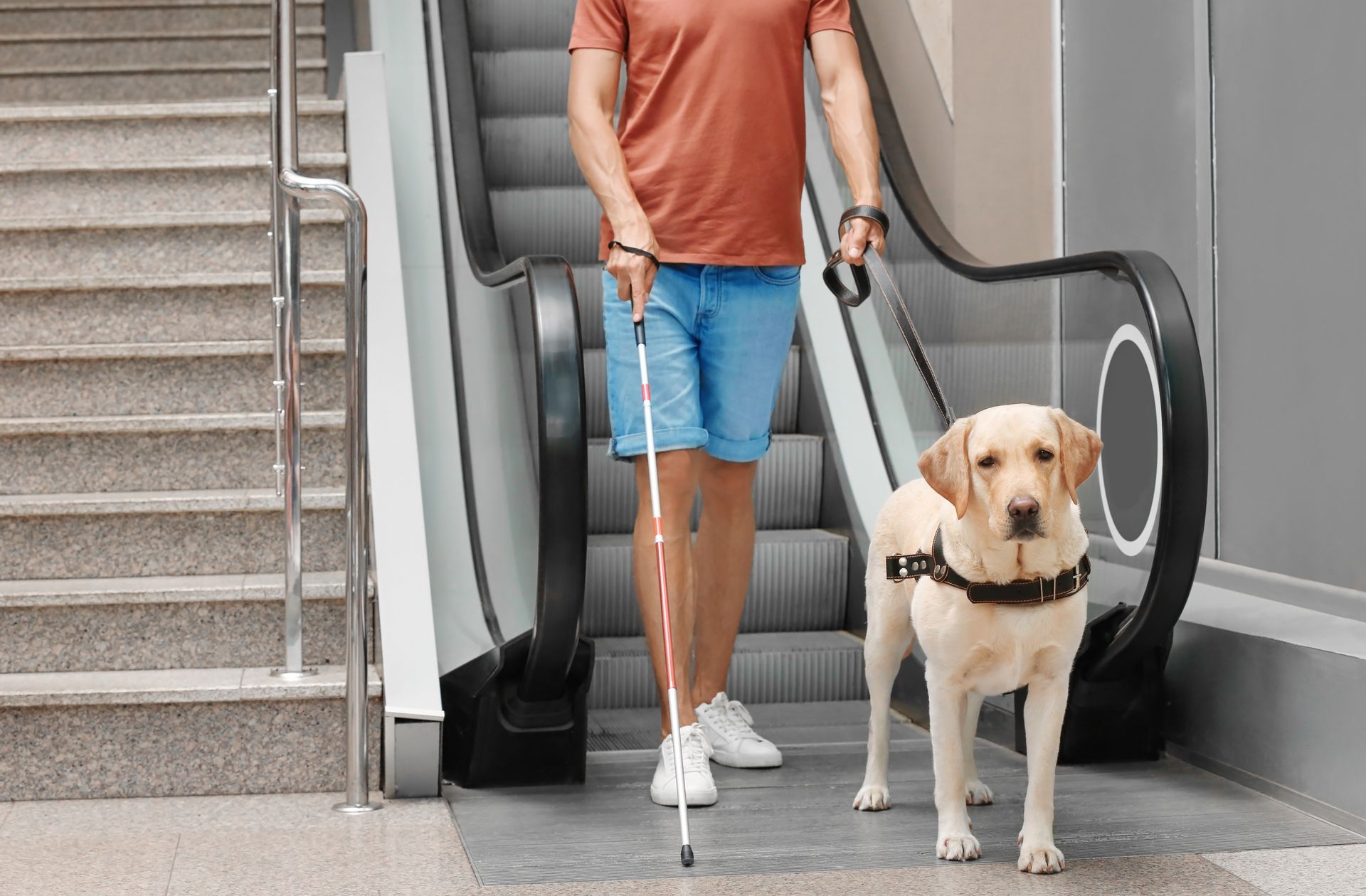 A man with a white cane and guide dog step off an escalator. 