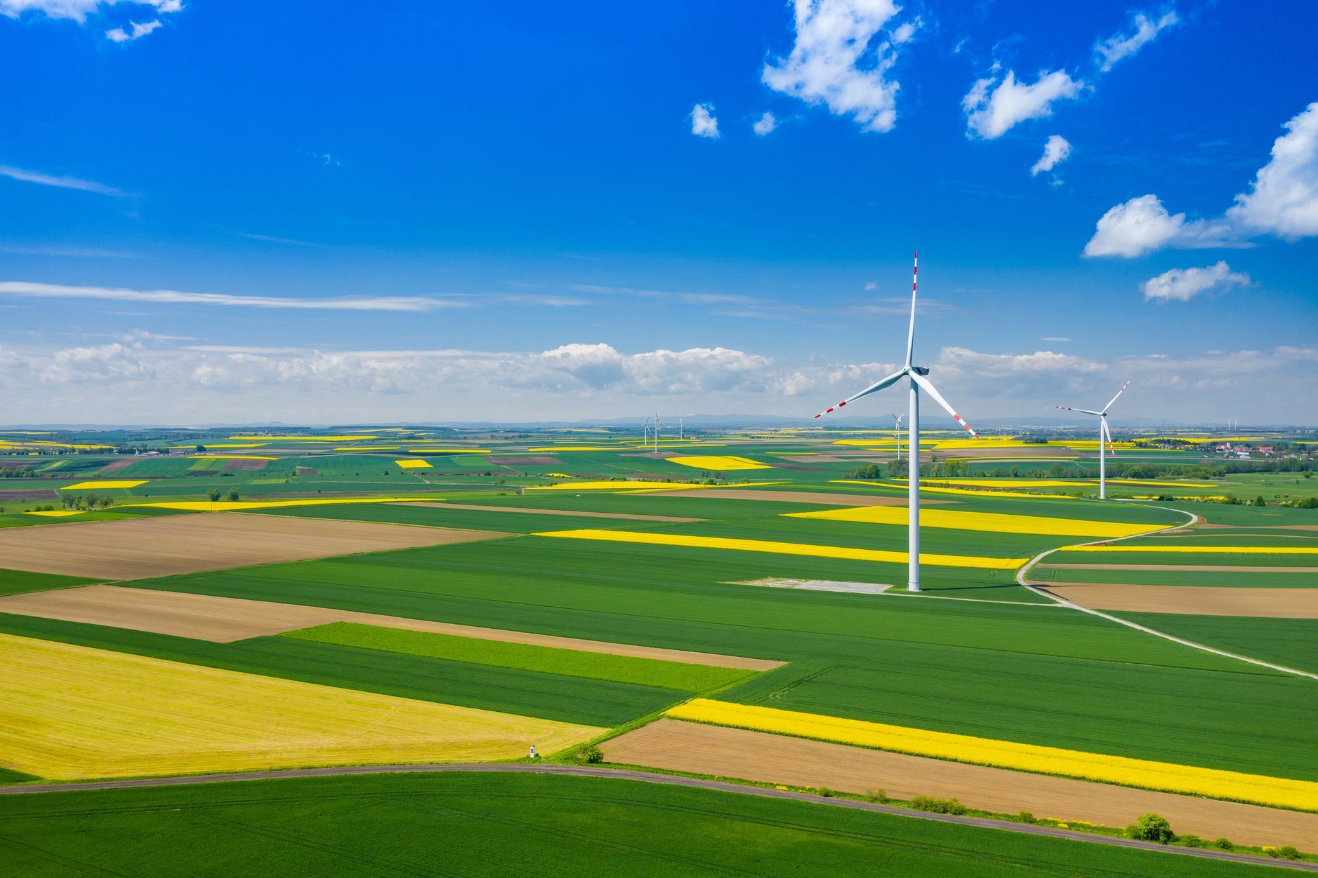 A rolling agricultural landscape, dotted with  large wind turbines, thrives in the summer sun.