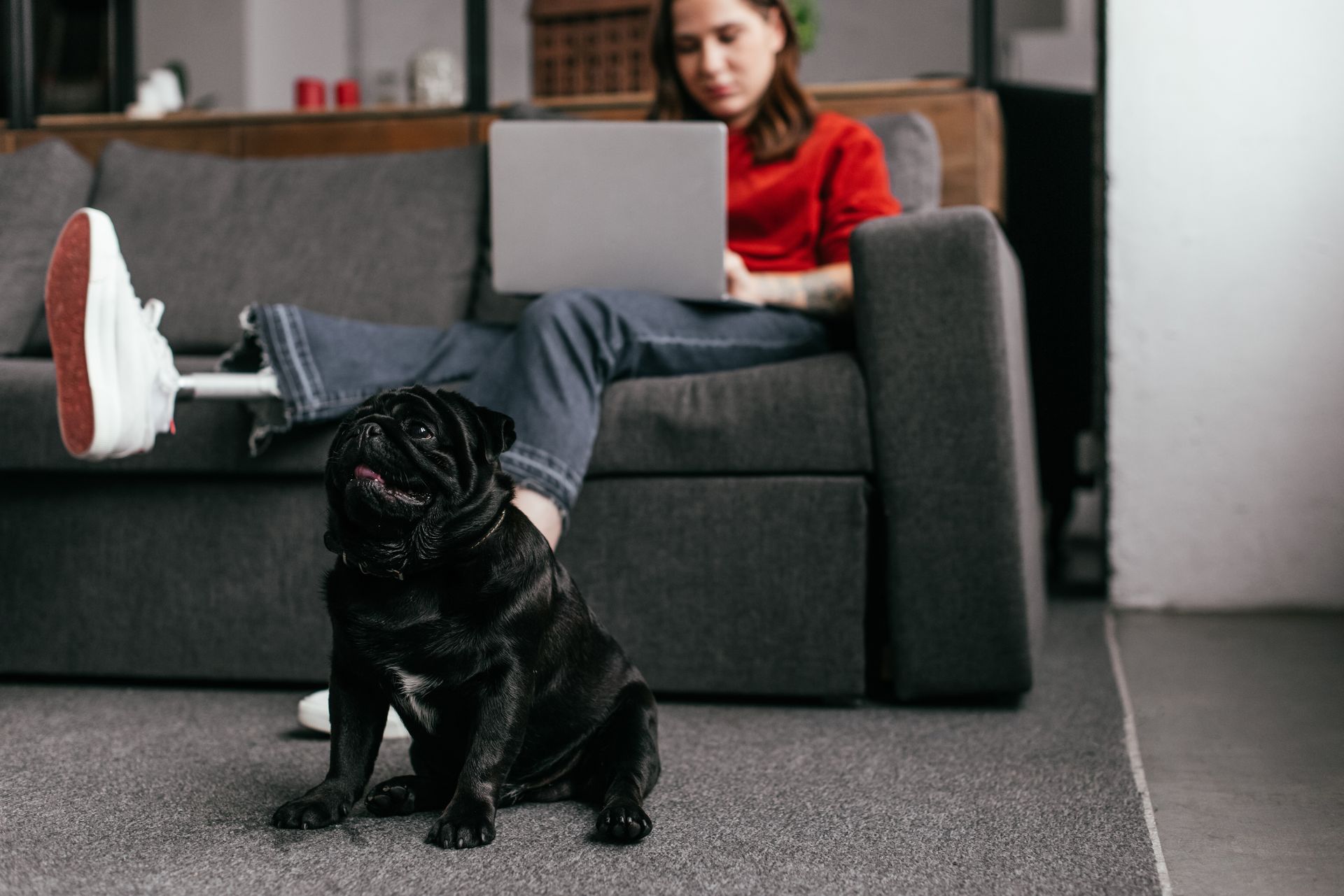 A young woman with a prosthetic leg relaxes into a comfortable sofa as she works on her laptop, accompanied by her small pug who sits by her feet.