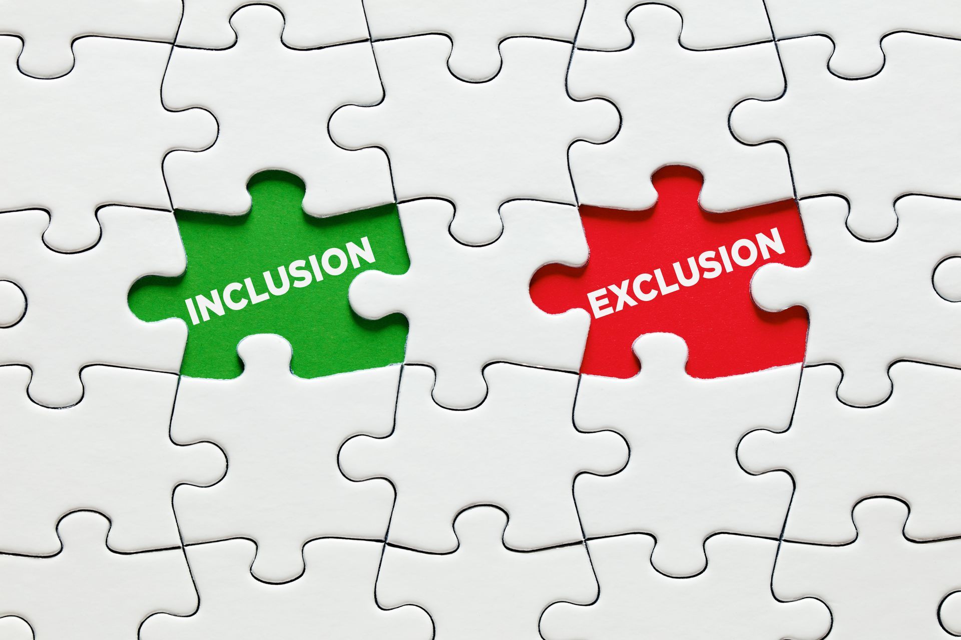 A puzzle with two missing pieces. One missing piece reveals the word inclusion in a positive green, the other exclusion in a negative red.