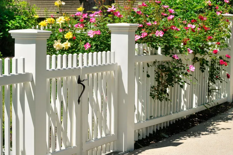 A white picket fence with flowers in the background