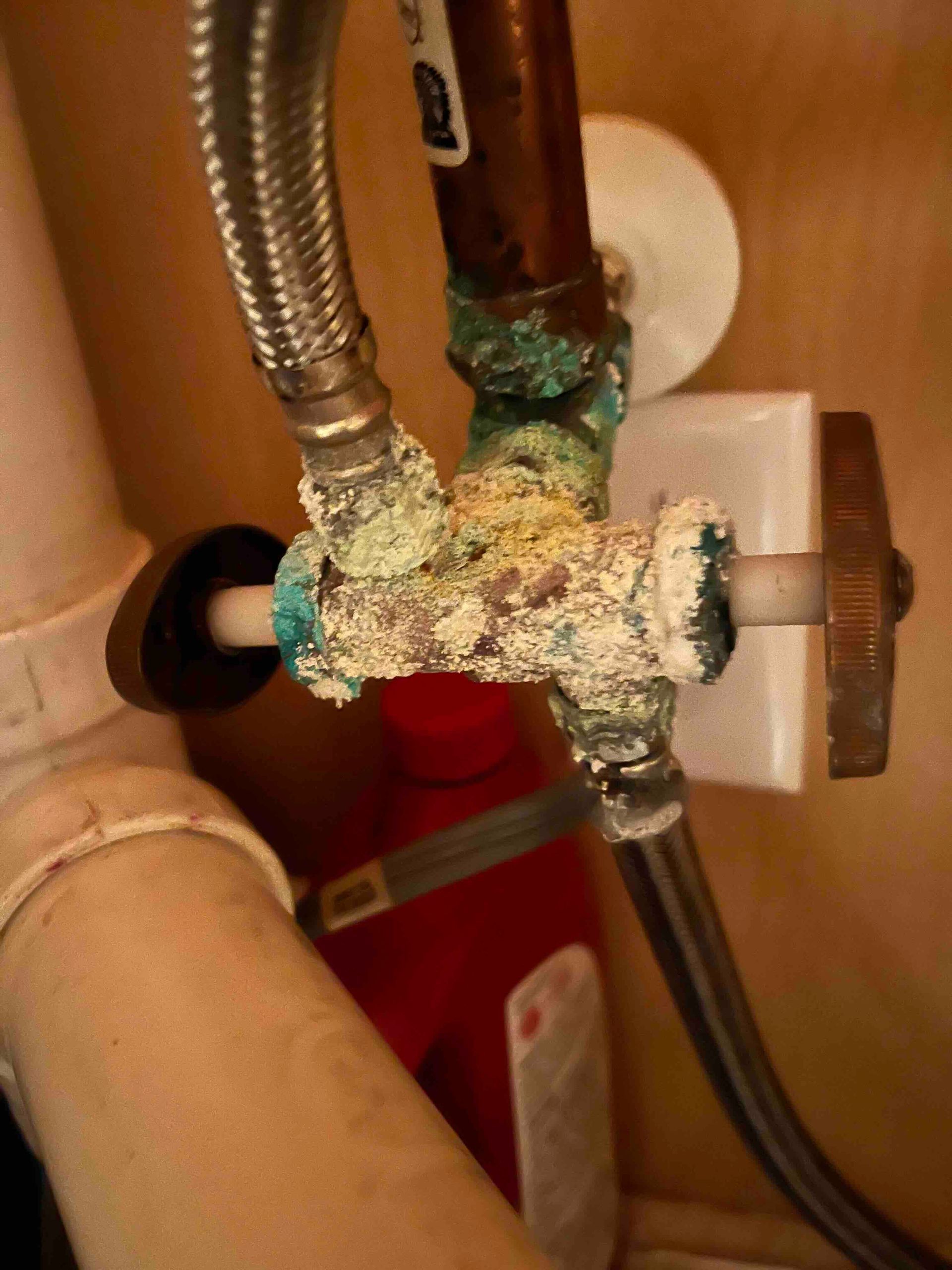 Tarpon Plumbing & Drains - A close up of a faucet with a hose attached to it