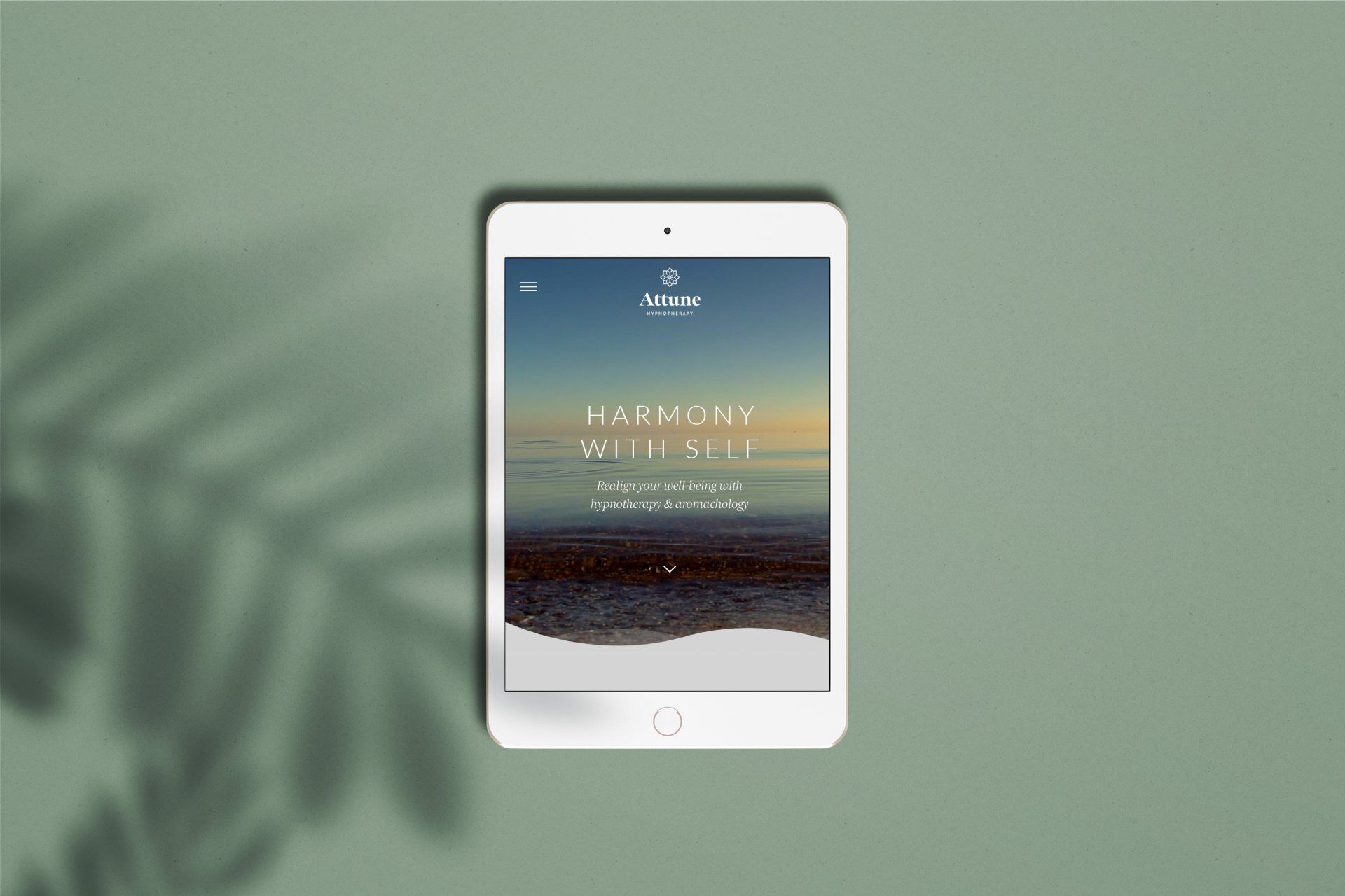 ipad website design for complementary therapists