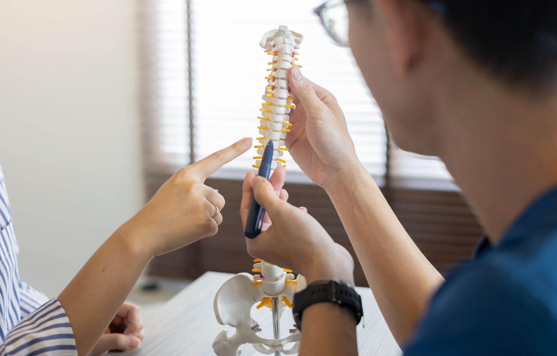 Two people examining a spine model.