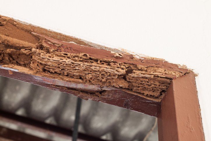 A close up of a termite damaged wooden door frame.