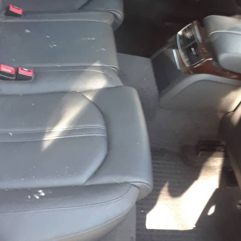 The back seat of a car with a red seat belt