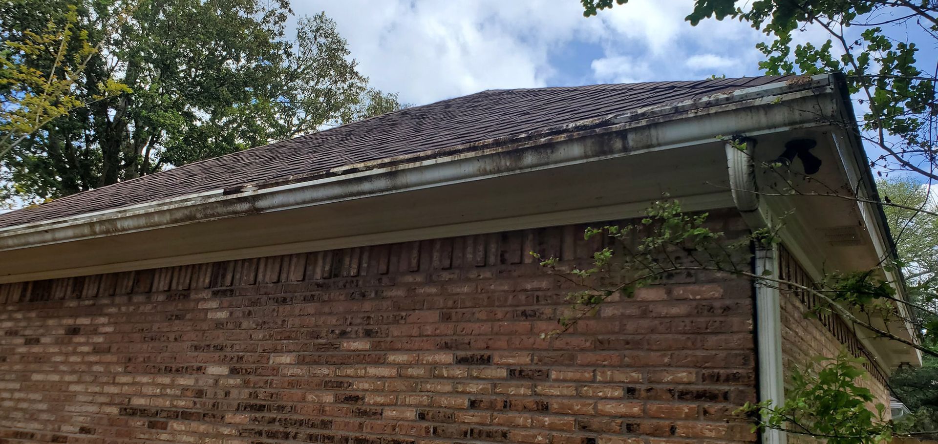 Before Roof Washing — Biloxi, MS — Elite Exteriors Pressure Washing