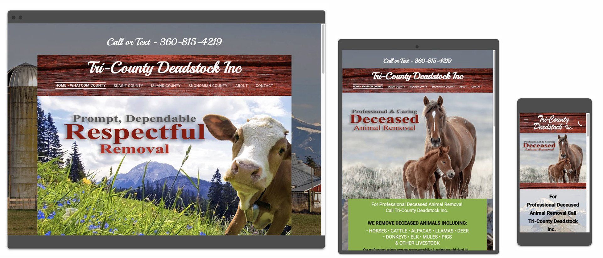 Tri-County Deadstock Inc  website image