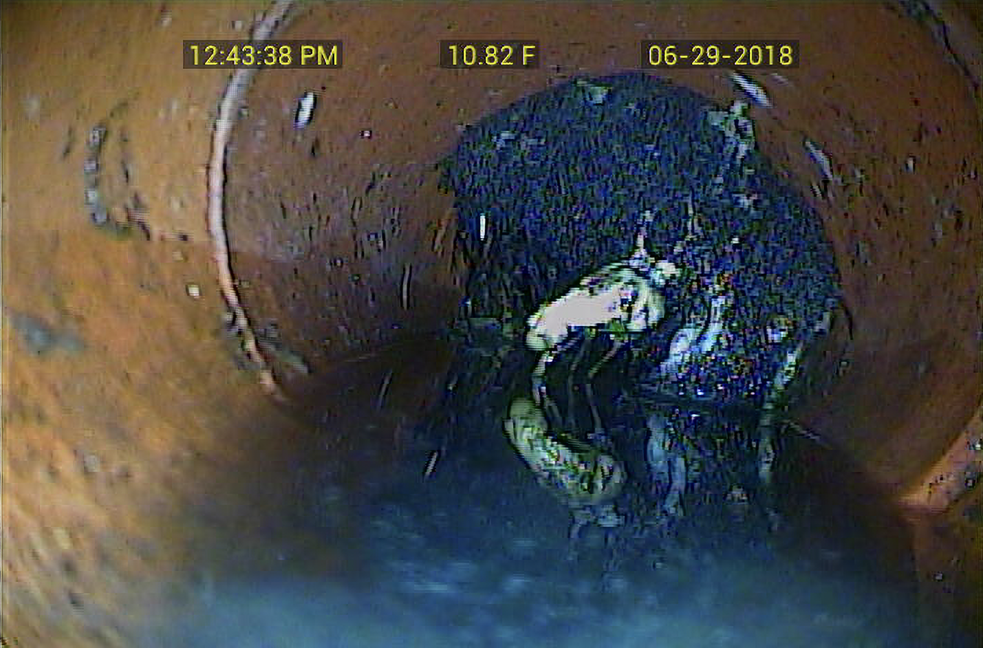 Anderson Inspections, Home Inspection, Home Inspection Near Me, Home Inspector, Home Inspector Near Me, Certified Home Inspector, General Home Inspection, Best Home Inspector, Best Home Inspection Company, Reliable Home Inspection Company, Experienced Home Inspection Company, Insured Home Inspection Company, Mold Inspections, Mold Inspector, Mold Inspector Near Me, Mold Investigation, Mold Sampling, Mold Sampling Near Me, Mold Testing, Mold Testing Near Me, Commercial Mold Inspections, Commercial Mold Inspector Near Me, Commercial Mold Testing, Certified Mold Inspector, Property Inspection, Indoor Air Quality Sampling, Indoor Air Quality Testing, Indoor Air Quality Testing Company, Commercial Inspection Services, New Construction Inspections, New Home Inspections, 11th Month Warranty Inspection, Pre-sale Inspection, Pre-listing Inspection, Rental Property Inspection, Orange County CA, Capistrano Beach CA, Aliso Viejo CA, Anaheim CA, Corona Del Mar CA, Costa Mesa CA, Dana Point CA, Huntington Beach CA, Irvine CA, Ladera Ranch CA, Laguna Beach CA, Laguna Hills CA, Laguna Niguel CA, Laguna Woods CA, Lake Forest CA, Mission Viejo CA, Newport Beach CA, Newport Coast CA, Rancho Santa Margarita CA, San Clemente CA, San Juan Capistrano CA, Tustin CA