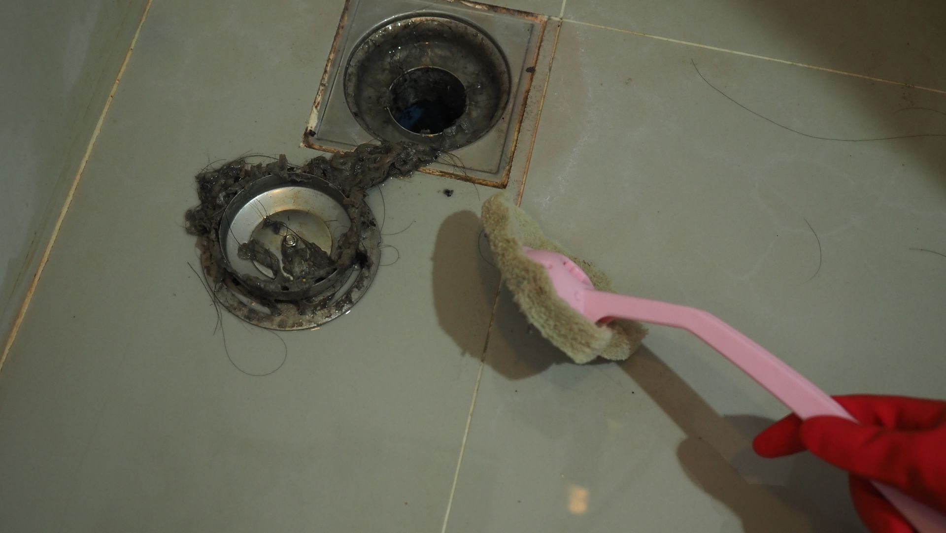A person is cleaning a drain in a bathroom with a brush.