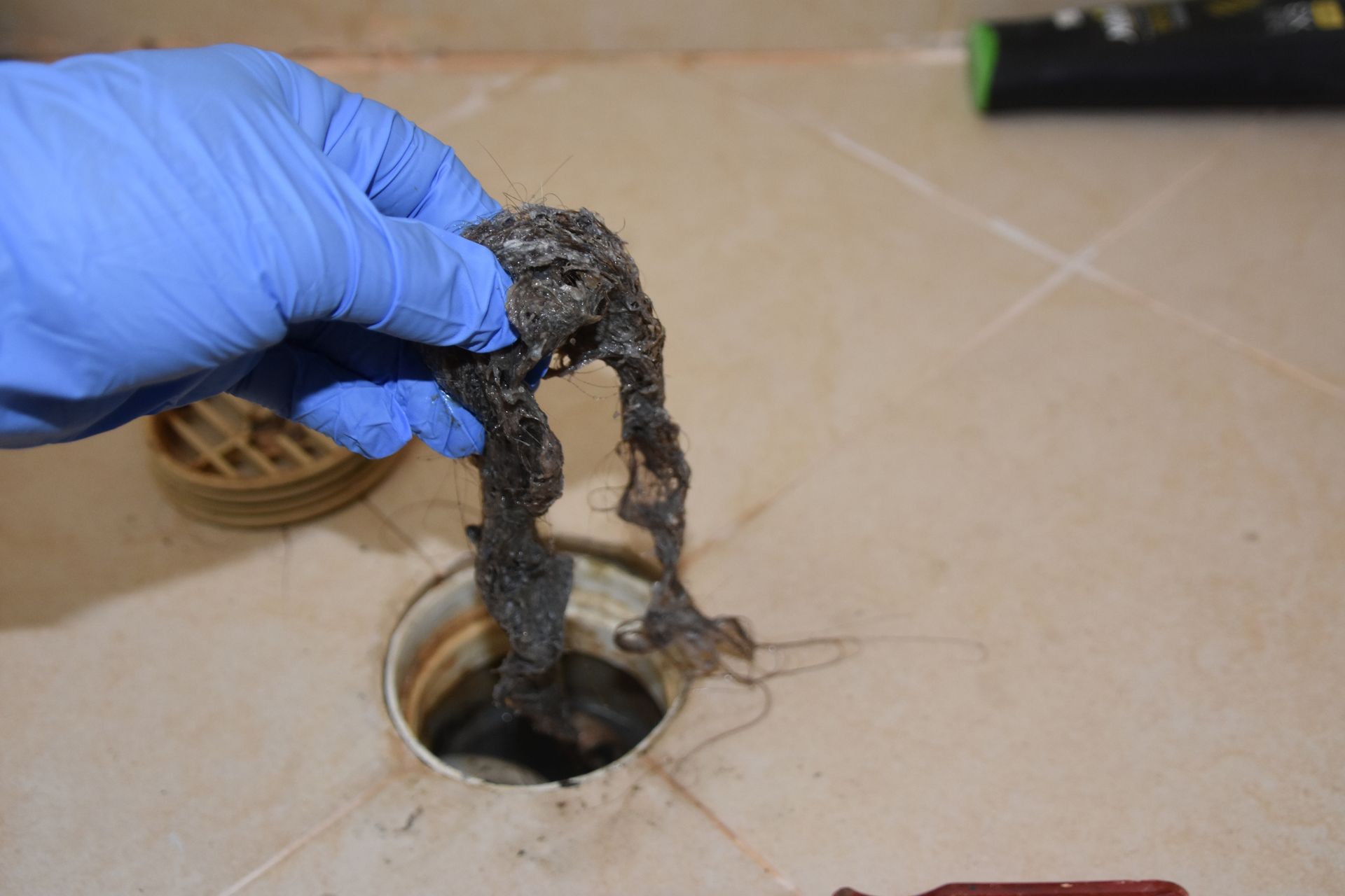 A person wearing blue gloves is holding a piece of hair in a drain.