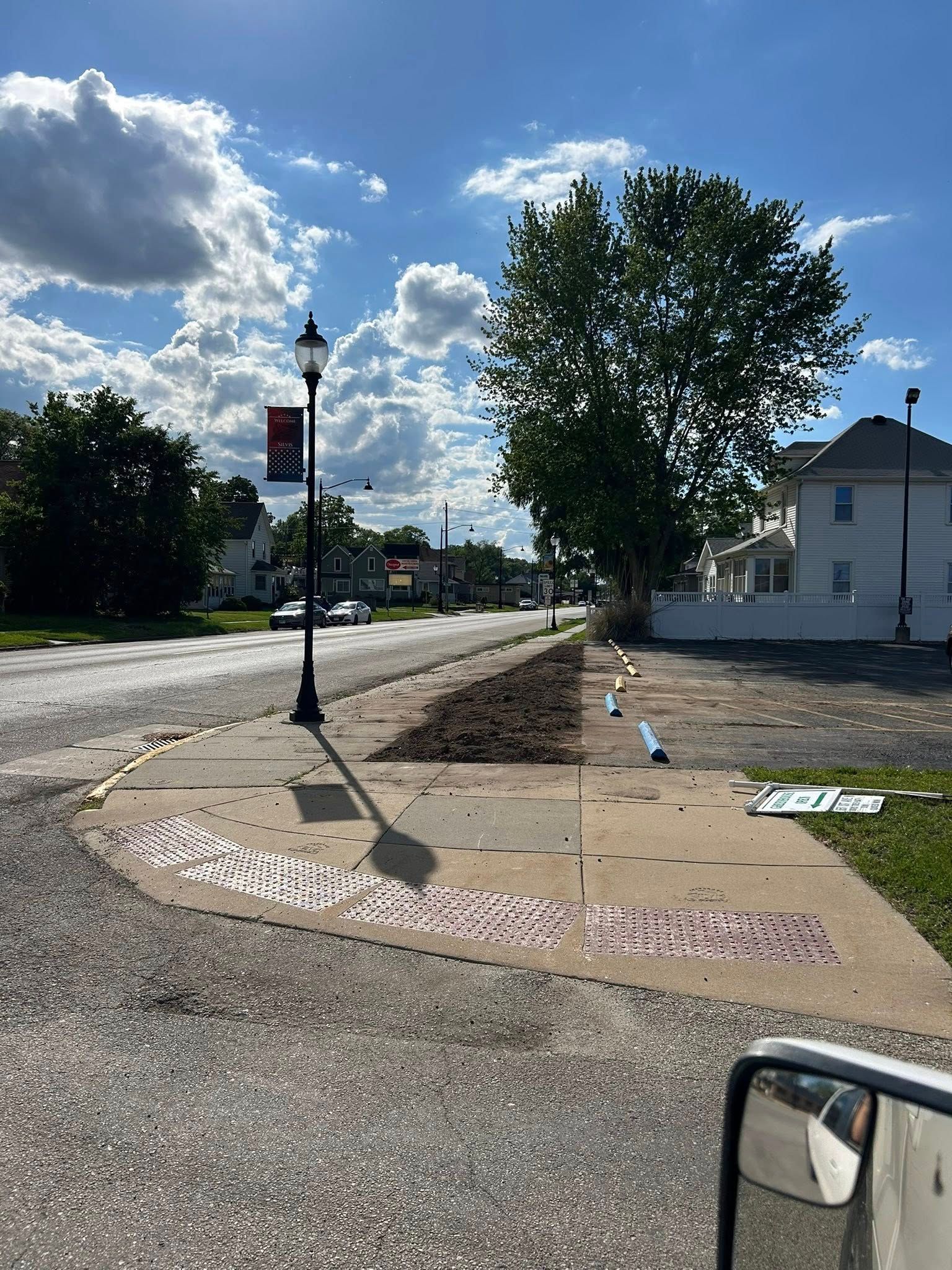 A car is driving down a street with a tree in the middle of it.