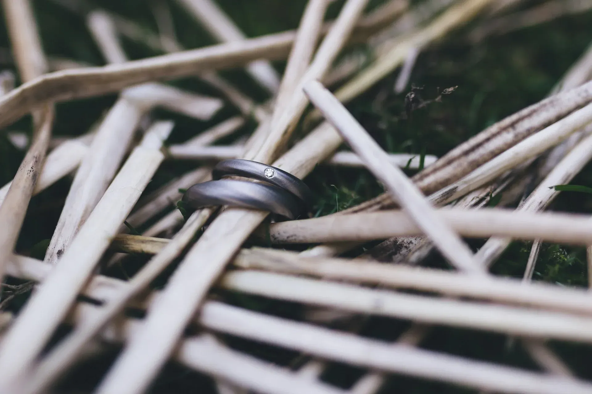 Wedding rings rest on intertwined dry grasses.