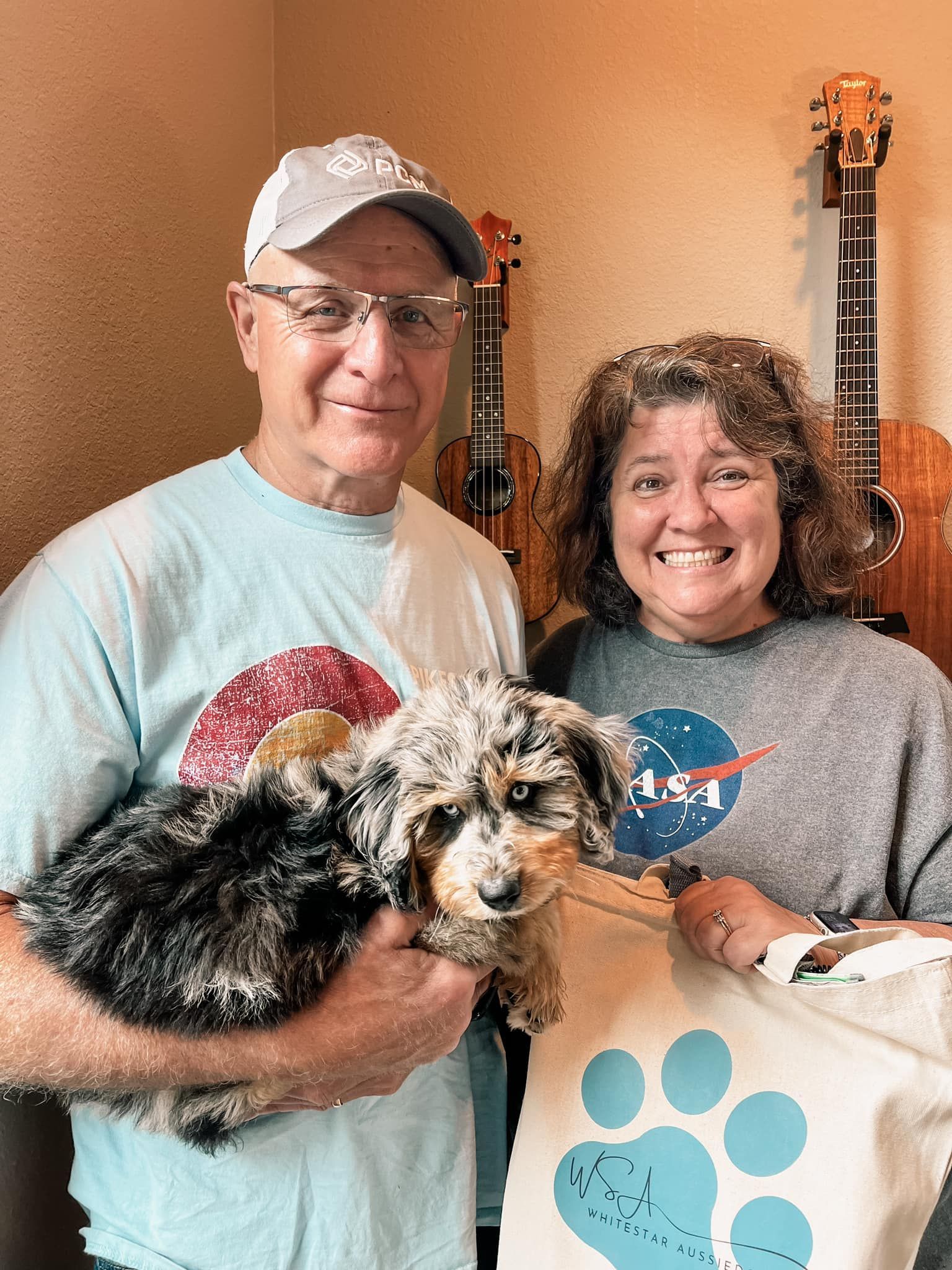 blue merle aussiedoodle
