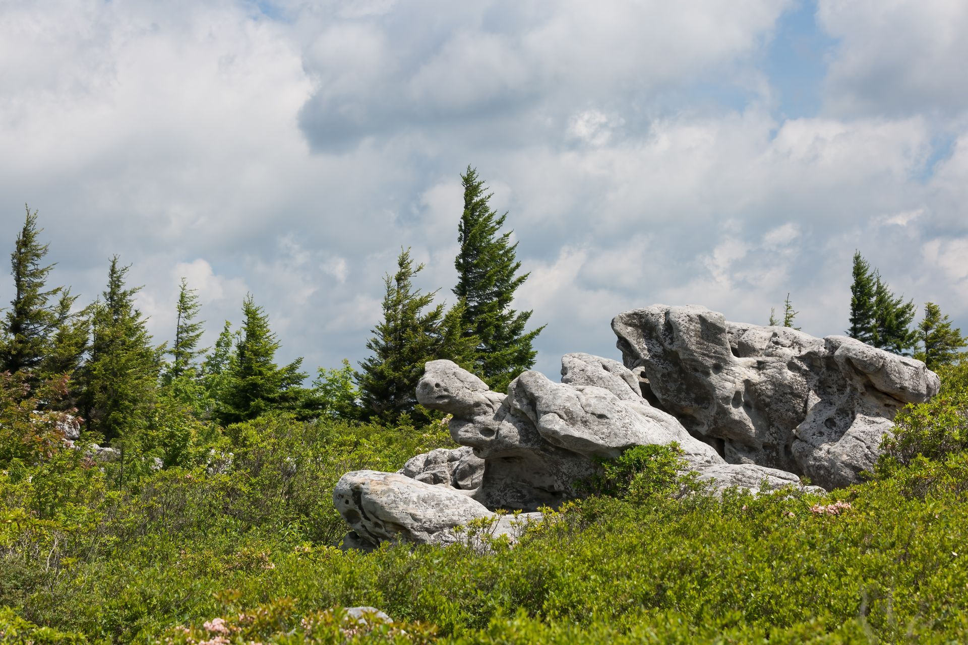 Large, weathered gray rock formations sit in a green, shrubby mountain meadow with evergreen trees under a cloudy sky.