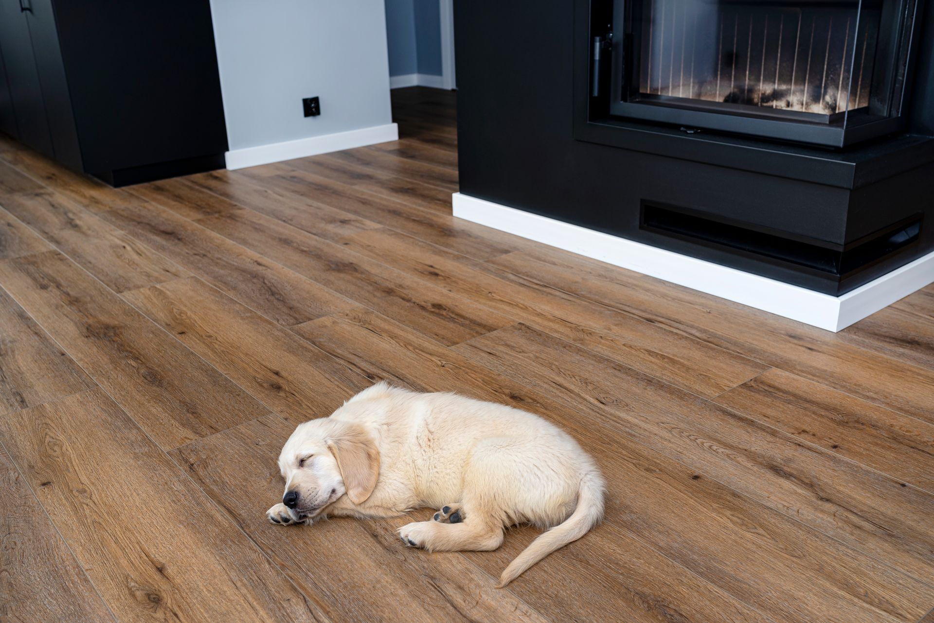 Golden retriever puppy sleeping on a wooden floor near a black fireplace.