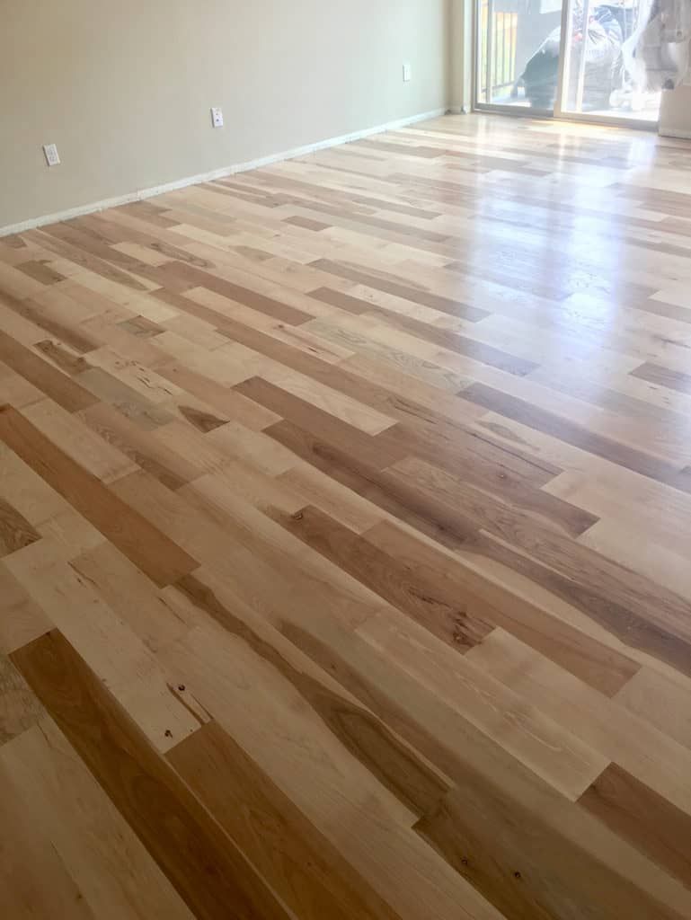 Bamboo VS Hardwood Flooring  Ambient Building Products®