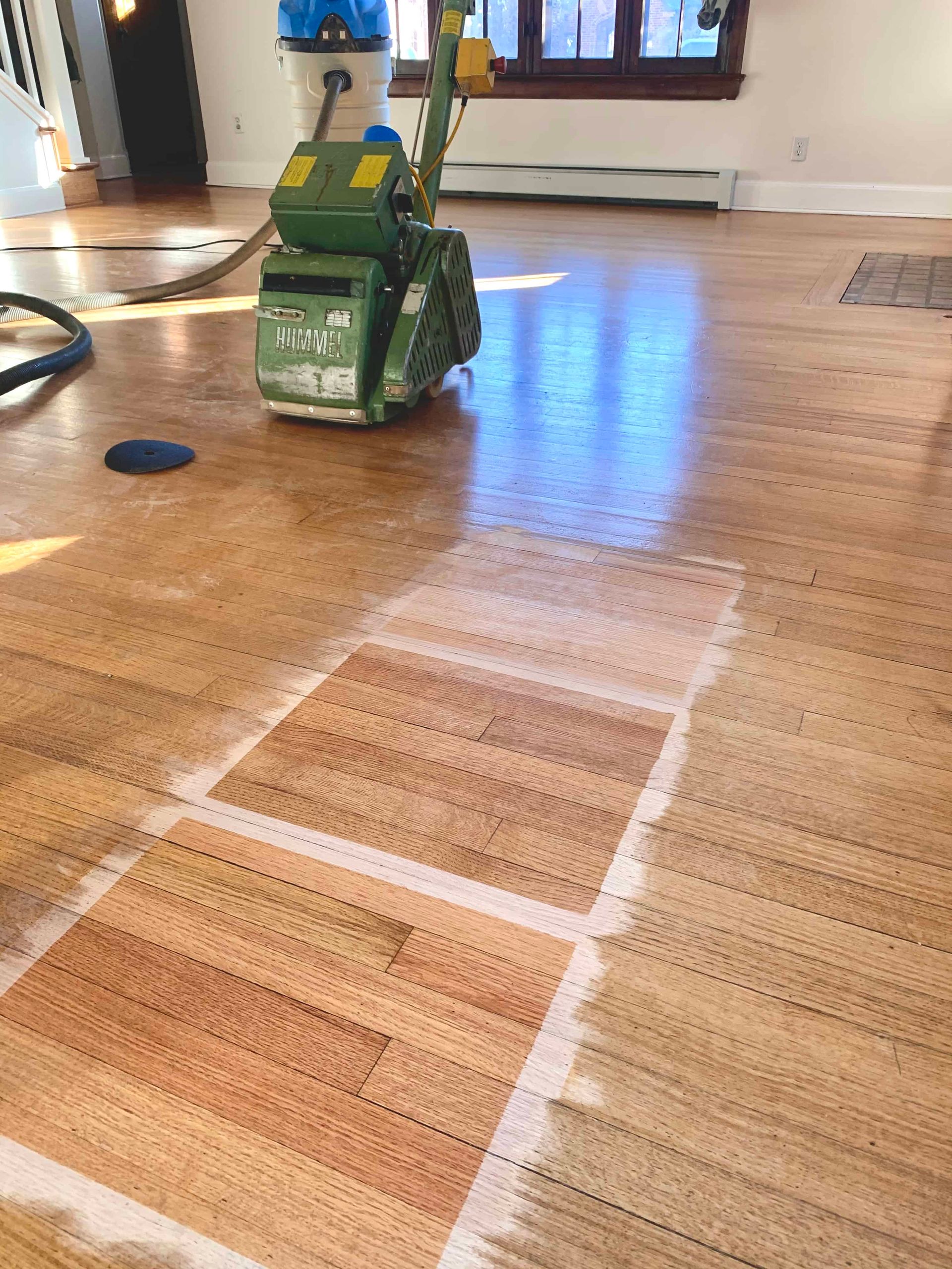 several stain samples on light hardwood flooring