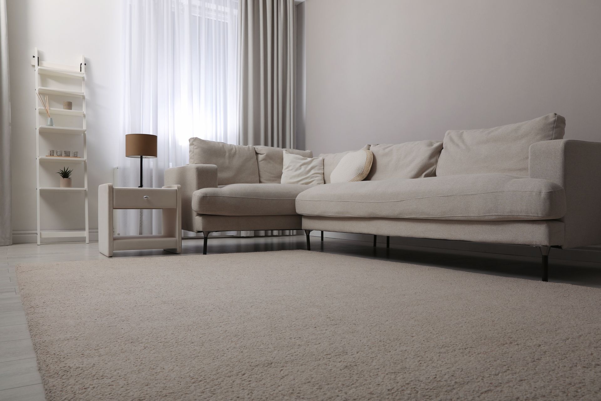 A living room with a white couch and a white rug.