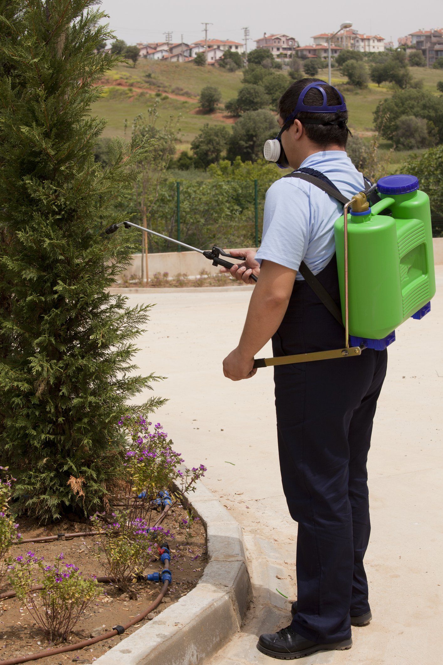 Pest Control — Lexington, KY — Davis The Bug Busters