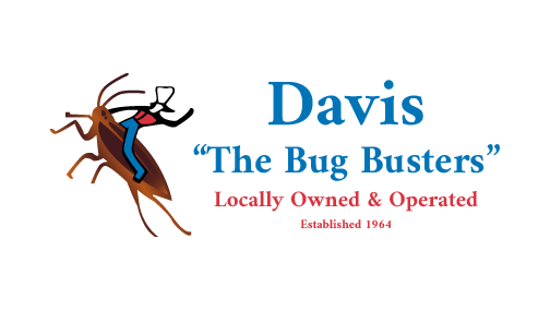 Davis The Bug Busters Davis The Bug Busters