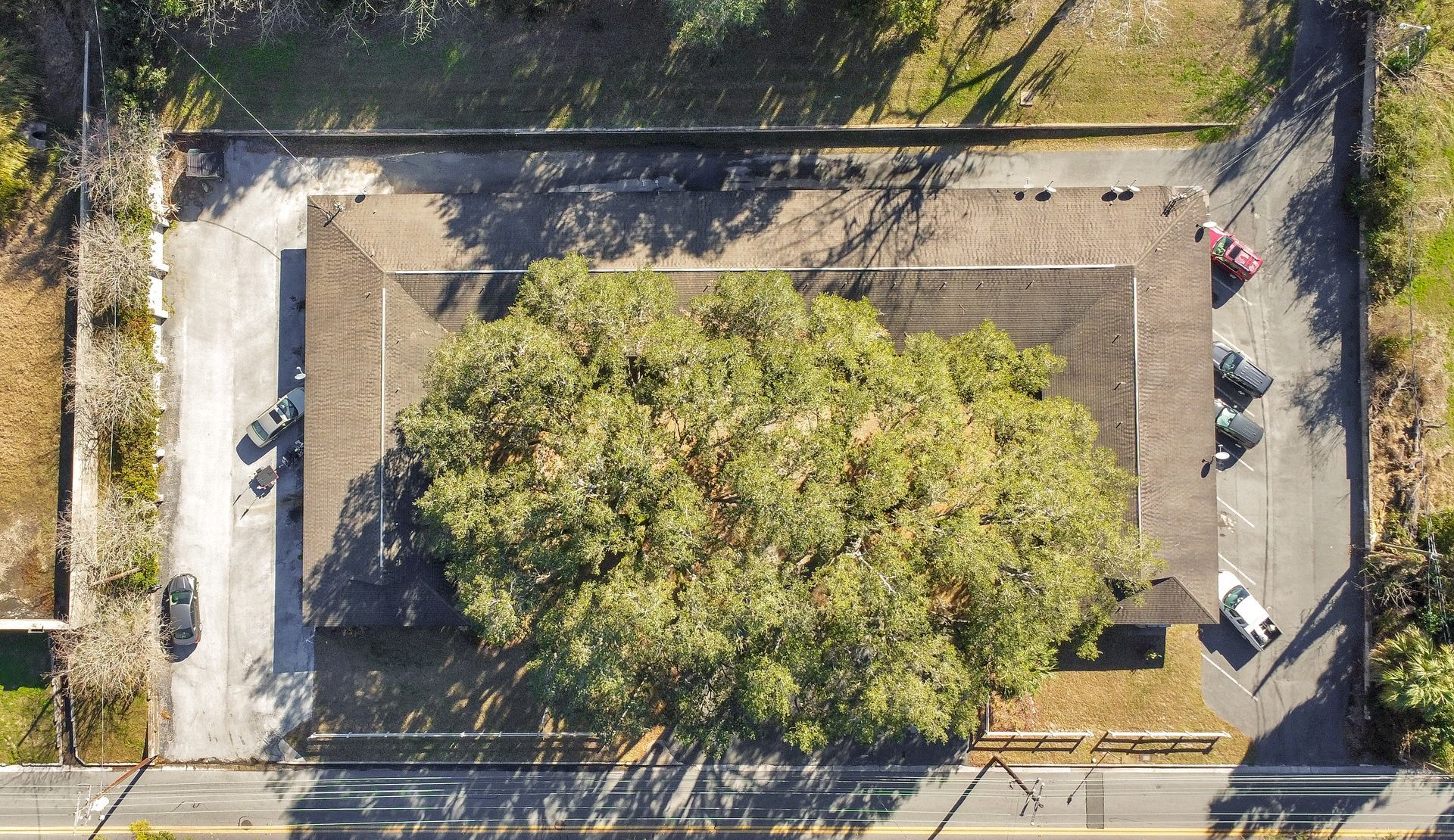An aerial view of a house with a large tree in front of it