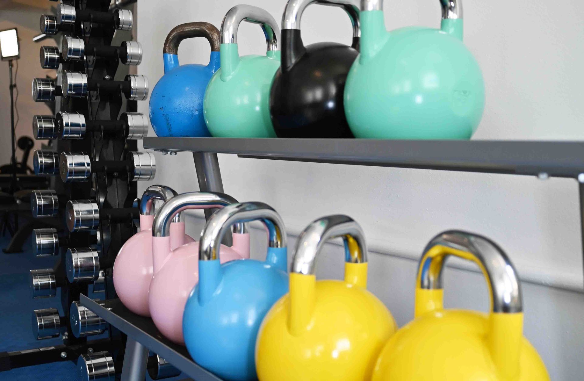 Hanteln für das Einzeltraining bei Fitnessbox in Wien