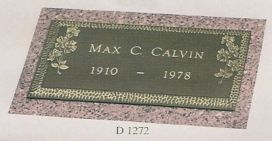 a picture of a gravestone for max c. calvin .