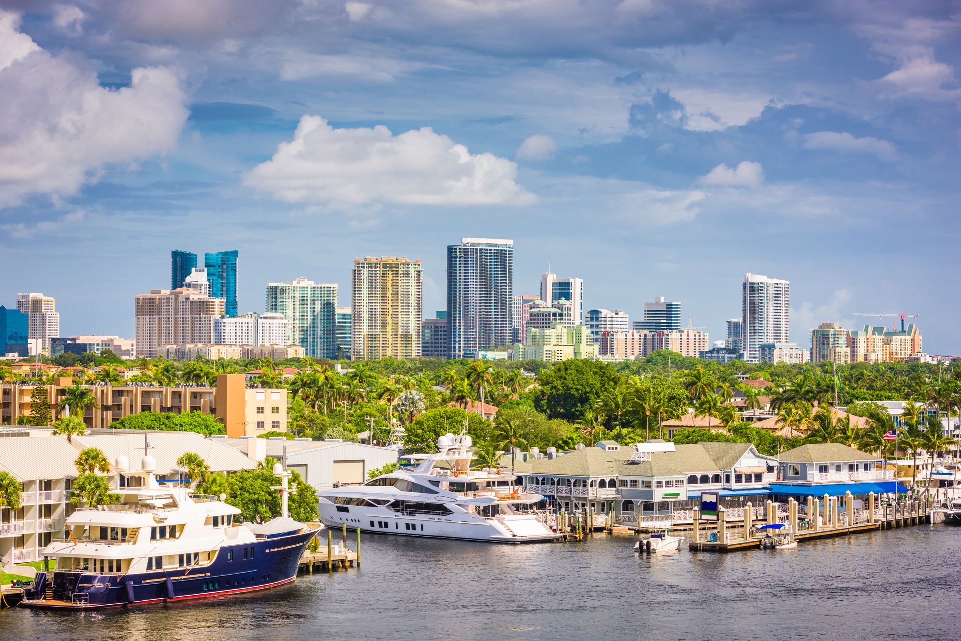 A group of boats are docked in a harbor with a city skyline in the background.