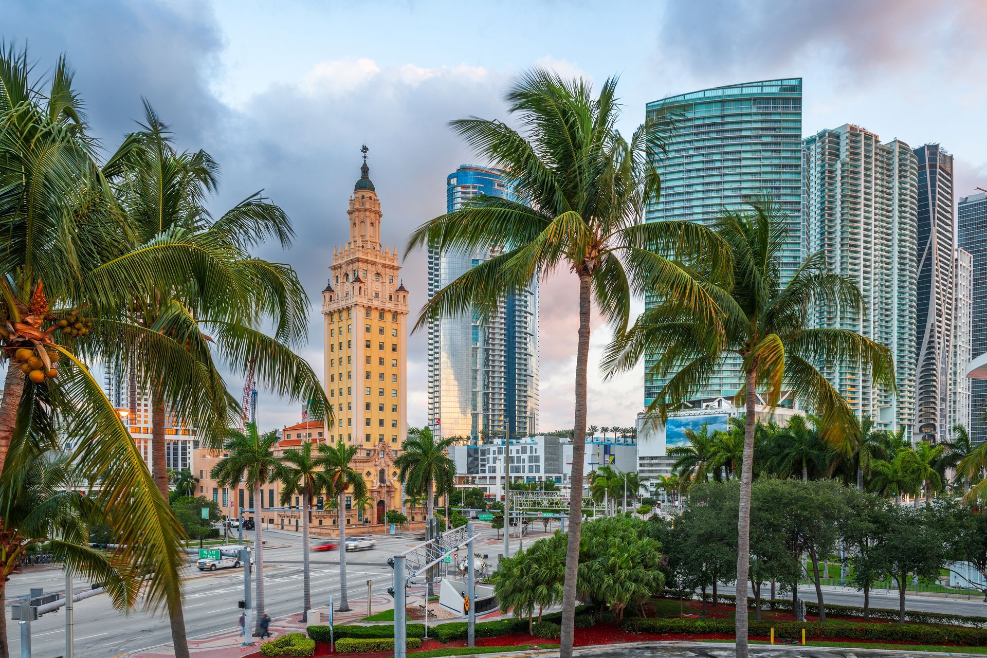 A cityscape with palm trees in the foreground and a clock tower in the background.