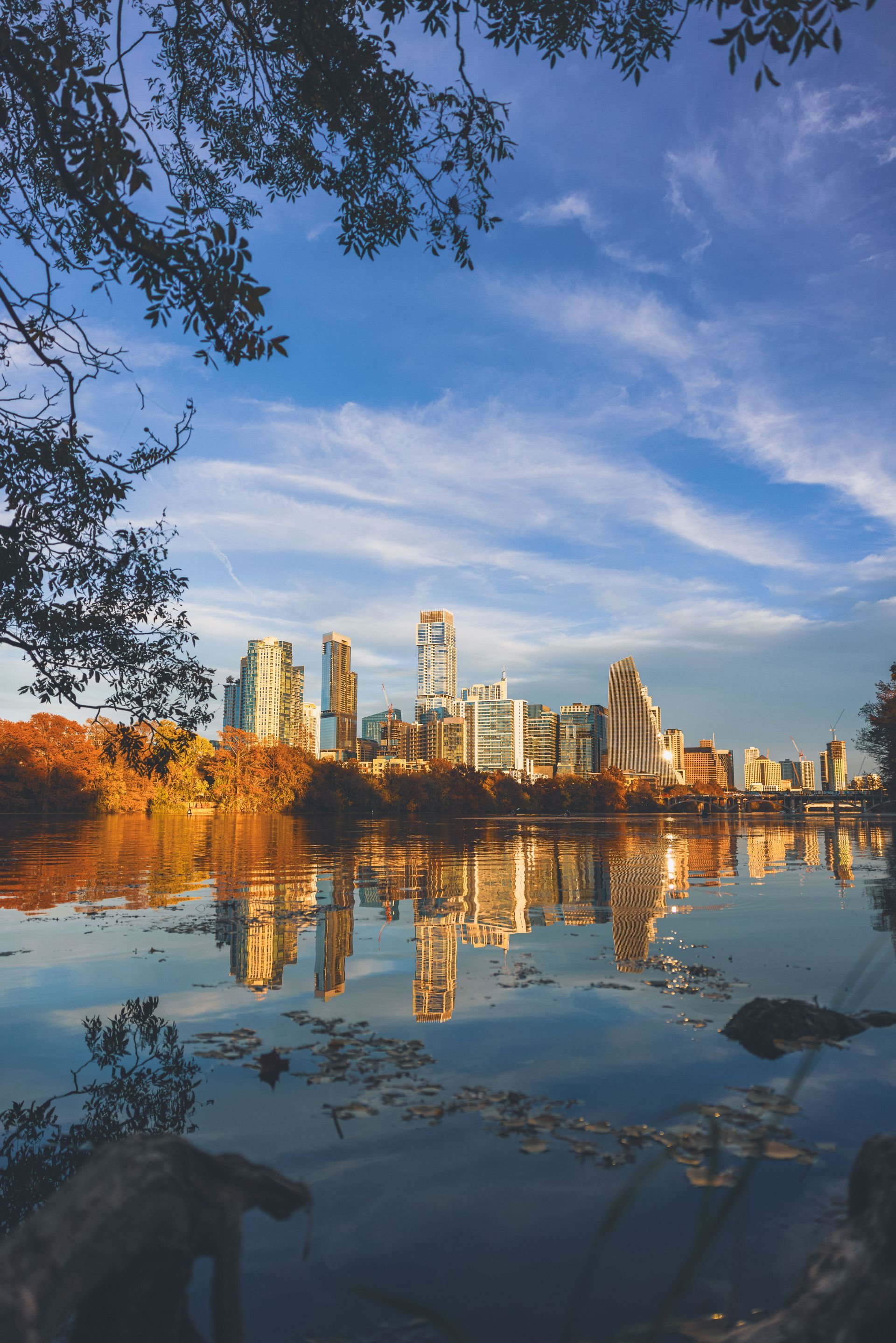 A city skyline is reflected in a lake with trees in the foreground.