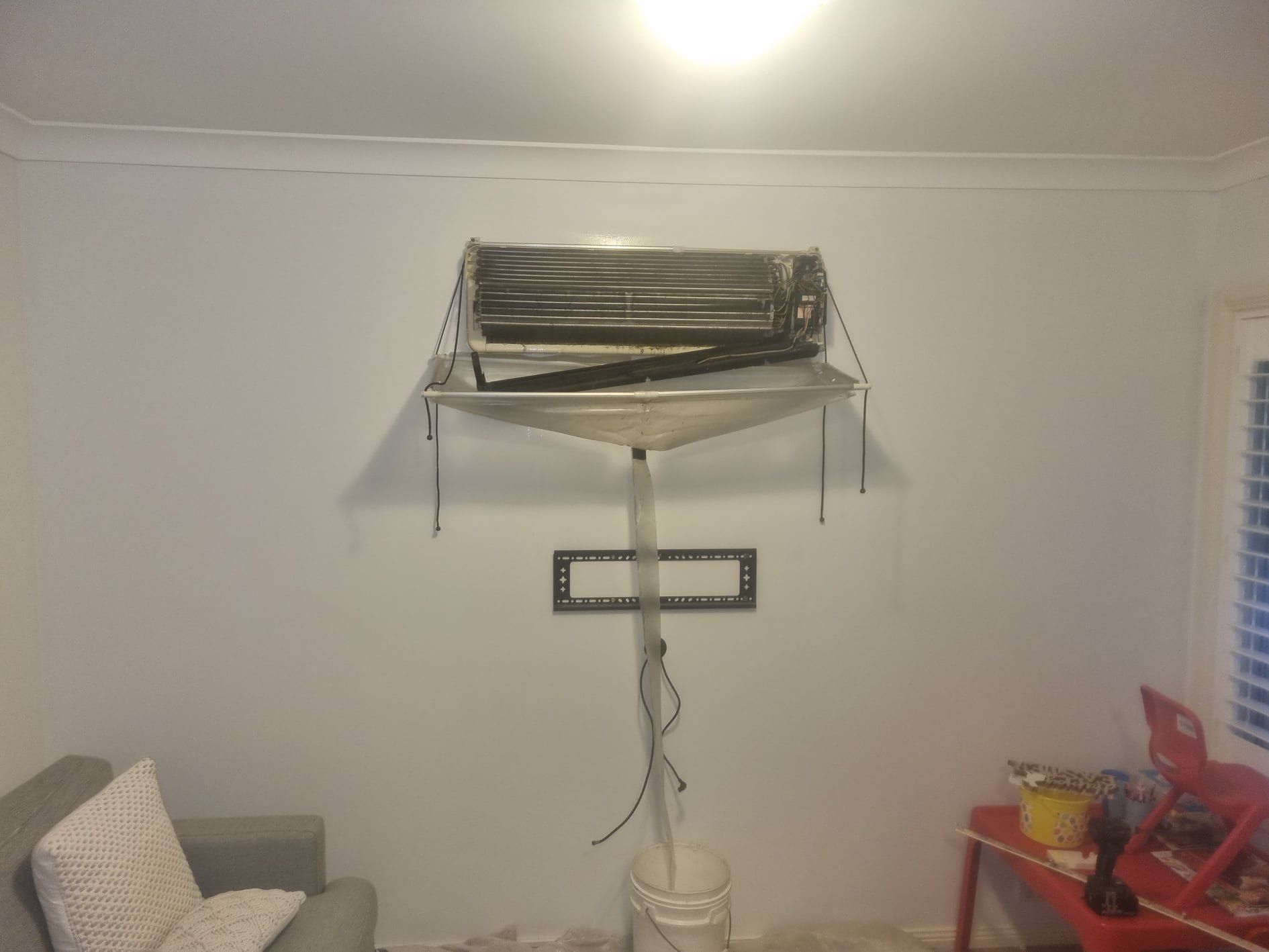 Mould Build Up In Air Conditioner — Air Conditioner Repairs in Illawarra, NSW