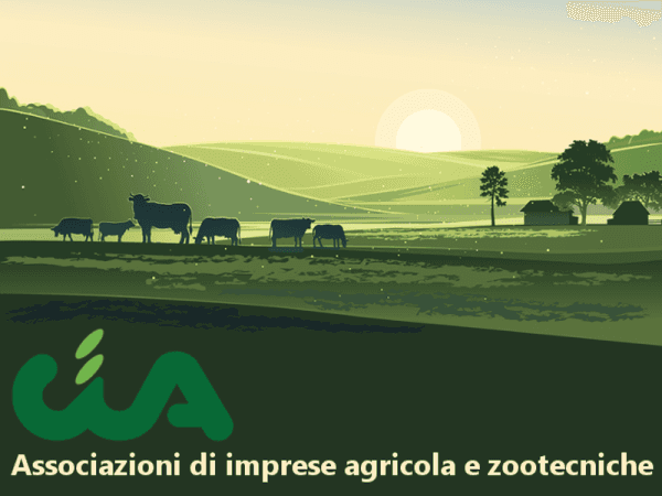 Assistenza imprese agricole marche