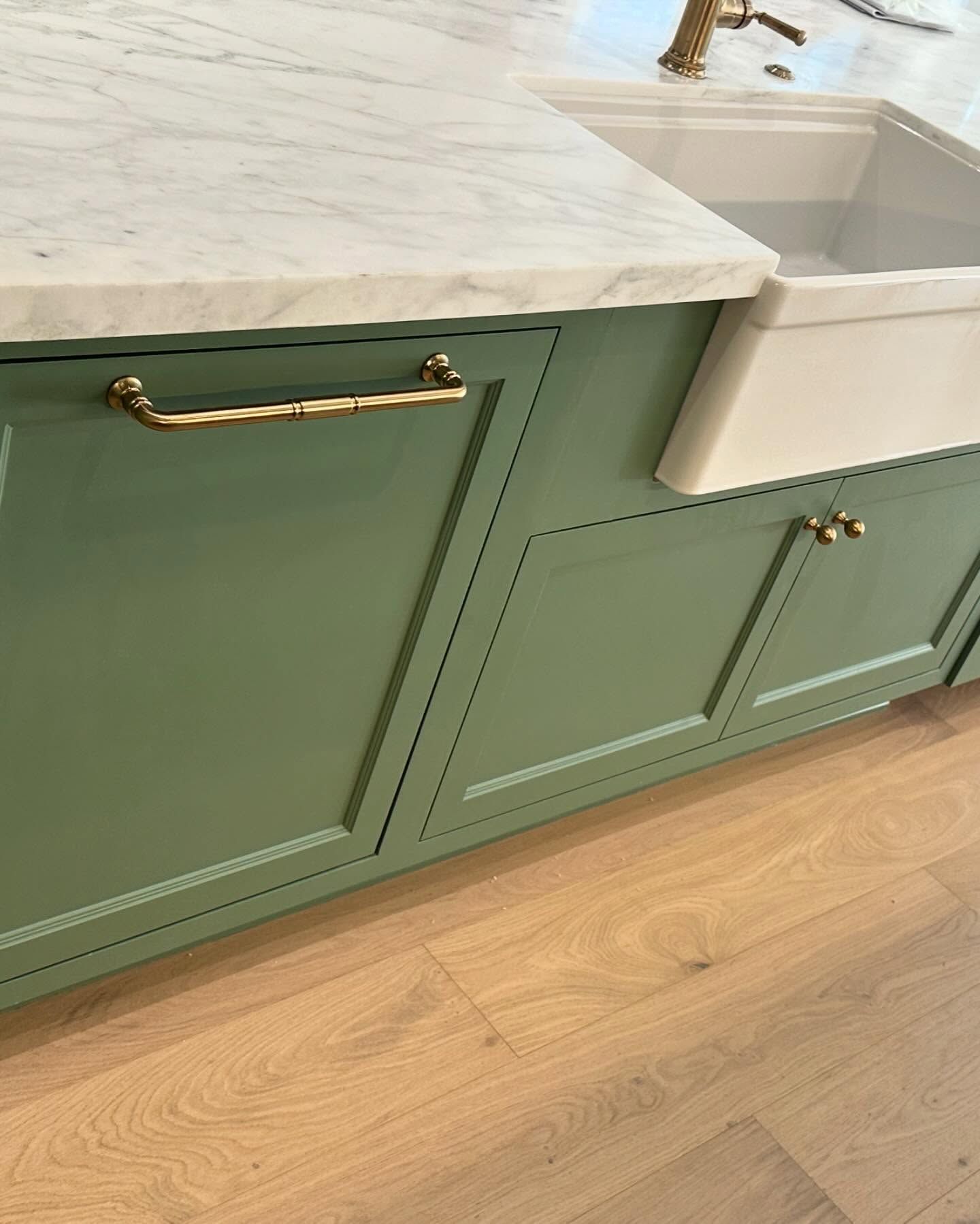 A kitchen with green cabinets and a white sink.