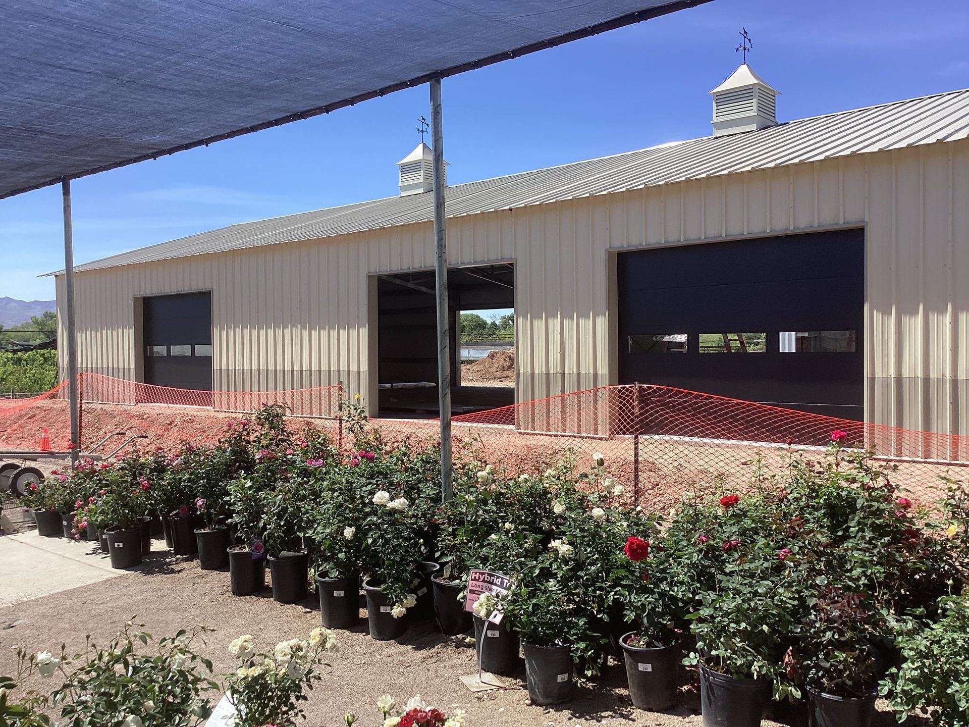 A building with a lot of potted plants in front of it