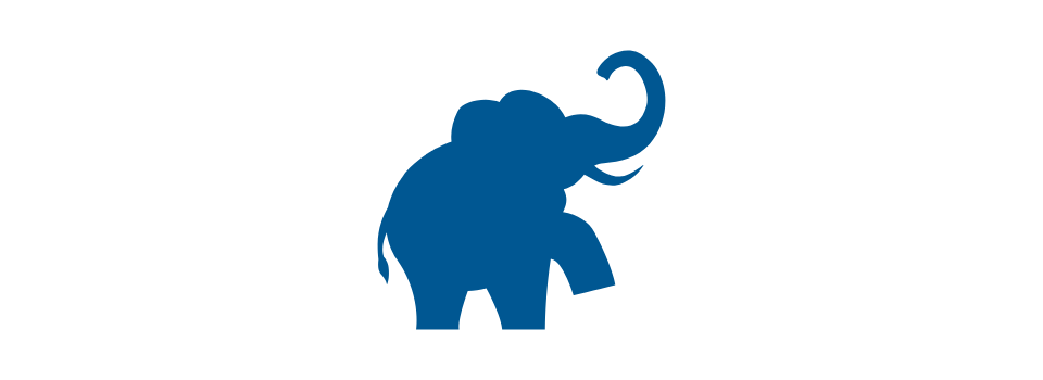 Graphical depiction of an elephant representing the zoo as one of multiple local attractions to which Positive Images participants are exposed