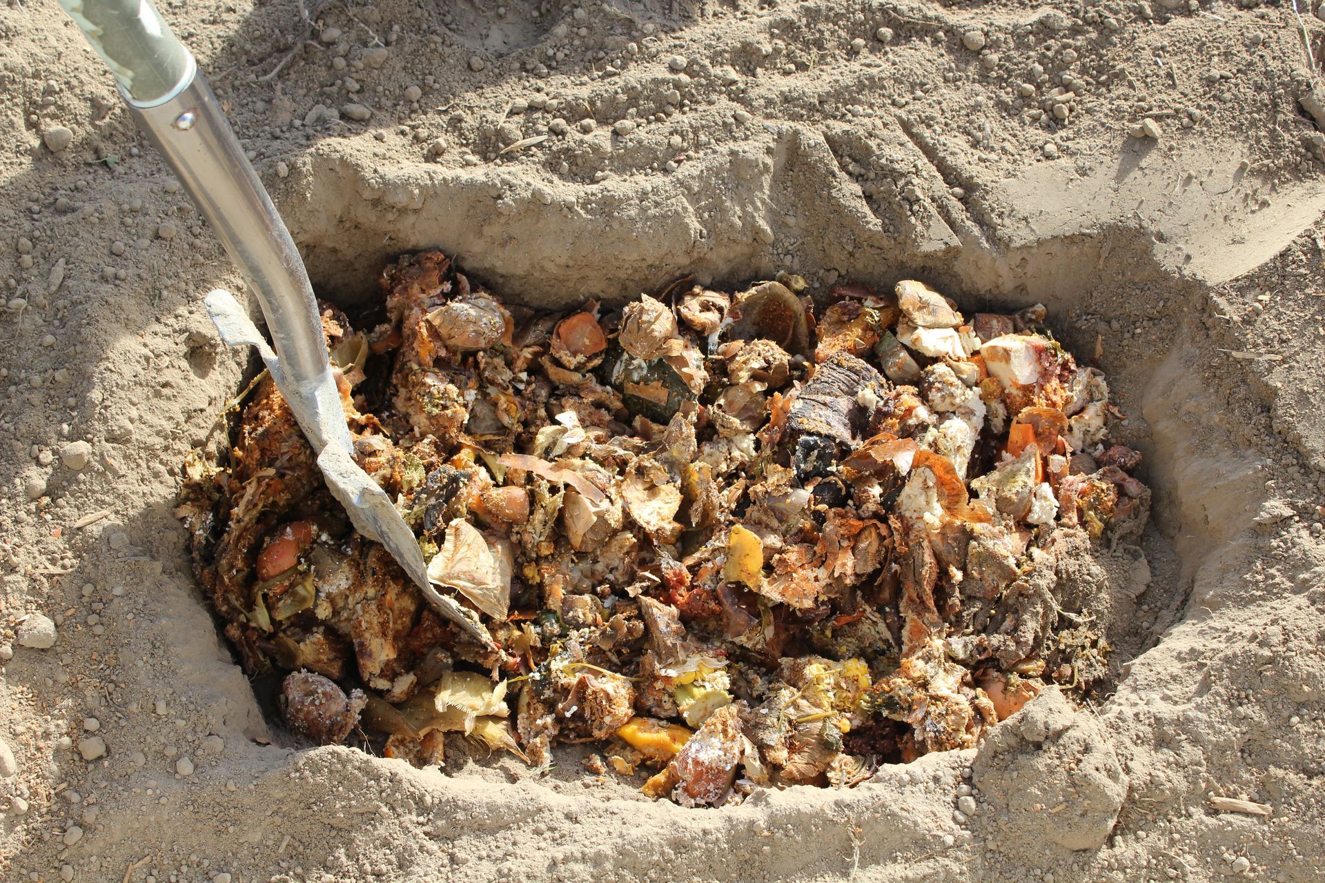 Burying fermented food waste helps improve soil conditions and boost plant health