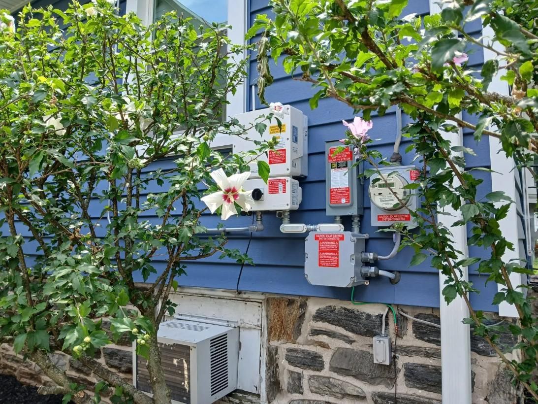 Electrical boxes and meter on blue house exterior, obscured by greenery and a flower.