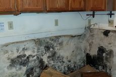 Mold Damage — Work Equipment in Metro Atlanta, GA