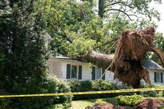 Storm Damage — Large Fallen Tree in Metro Atlanta, GA