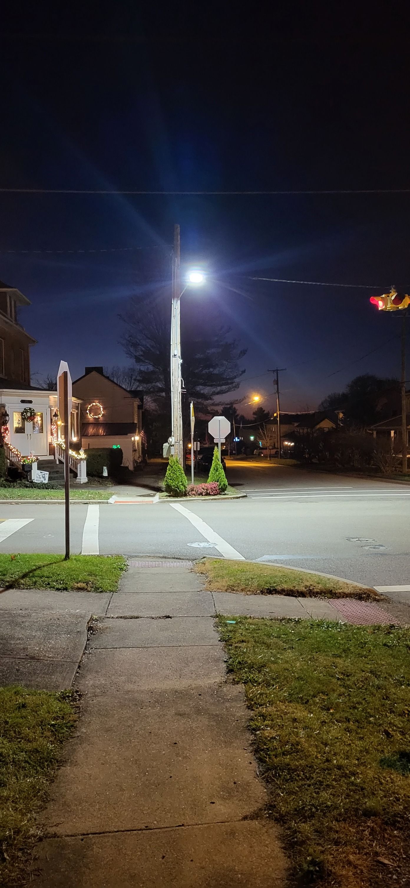 A street light is lit up at night in a residential area.