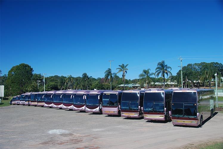 bus coaches lined up in sunshine coast parking lot