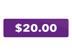 A purple button that says `` $ 20.00 '' on a white background.