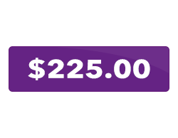 A purple button that says `` $ 225.00 '' on a white background.