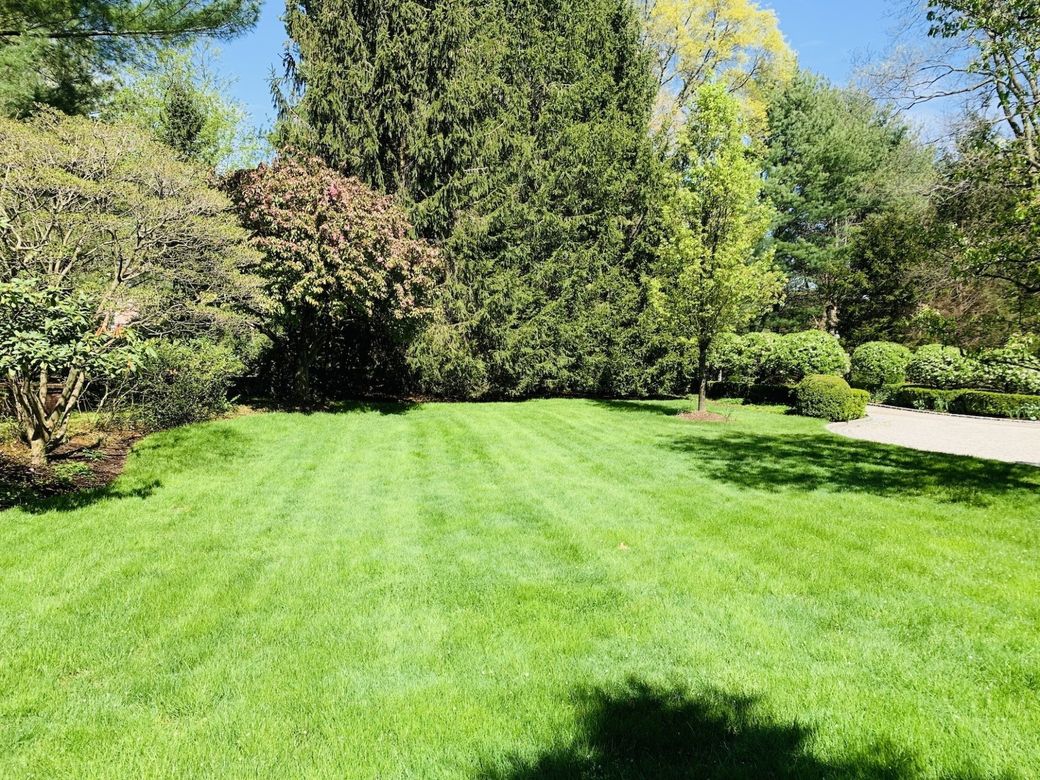 a large lush green lawn surrounded by trees on a sunny day .